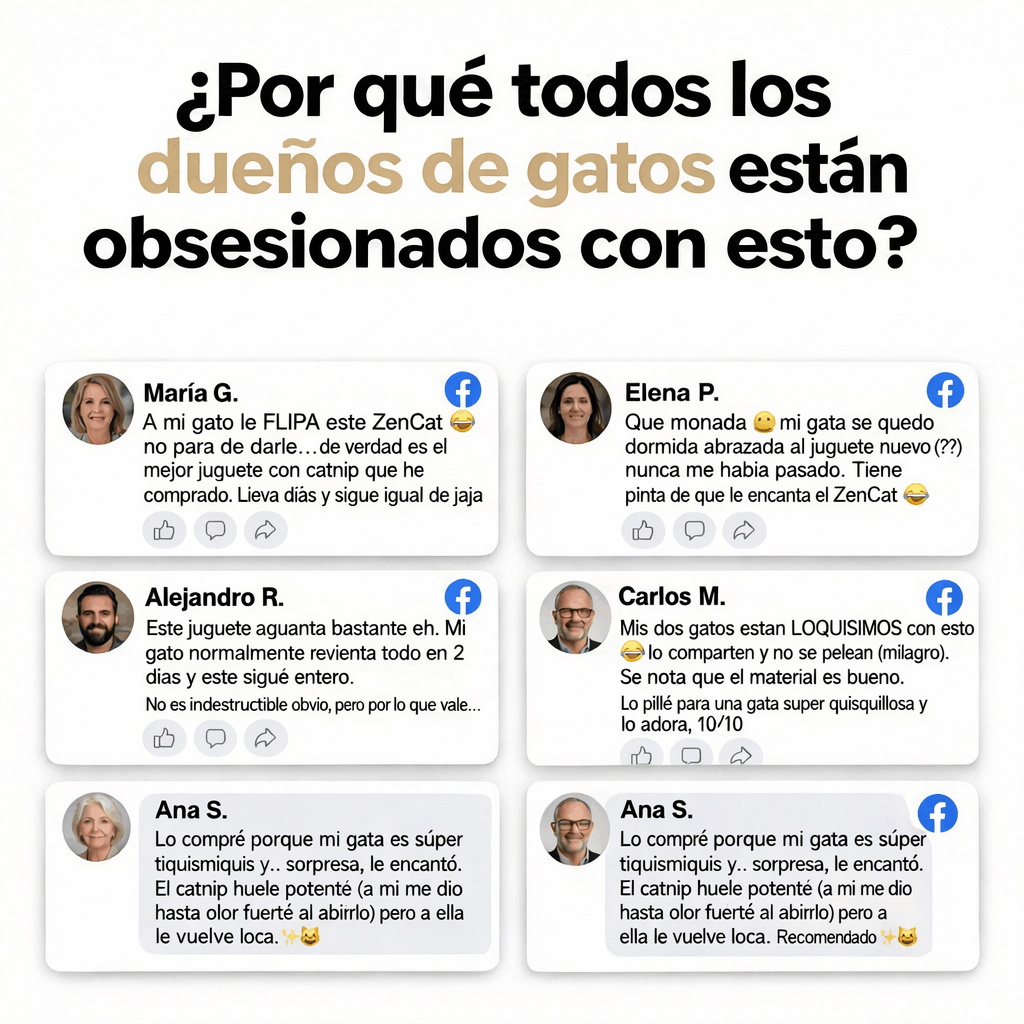 ZenCat | Recupera la felicidad de tu gato