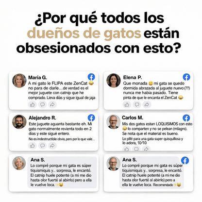 ZenCat | Recupera la felicidad de tu gato
