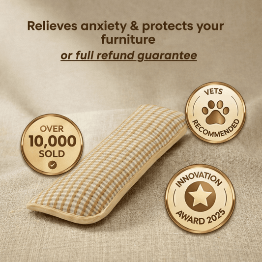 ZenCat | Restore your cat´s hapiness