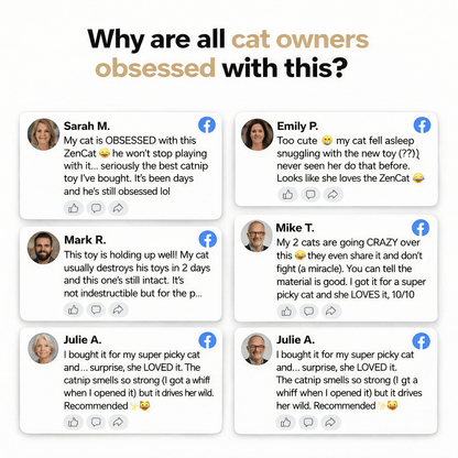 ZenCat | Restaure a felicidade do seu gato