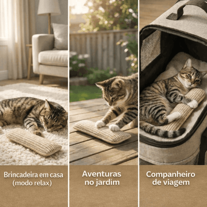 ZenCat | Devolva a felicidade ao seu gato