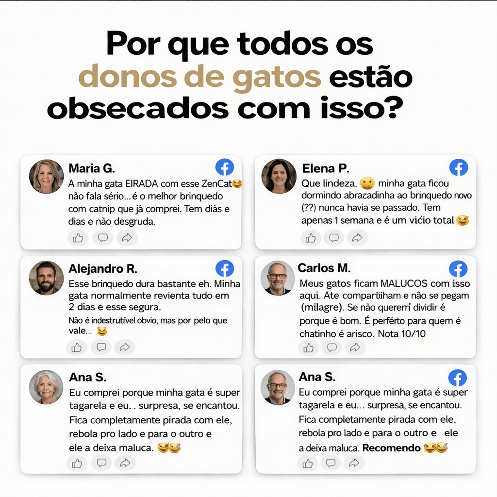 ZenCat | Devolva a felicidade ao seu gato