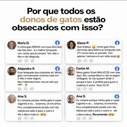 ZenCat | Devolva a felicidade ao seu gato