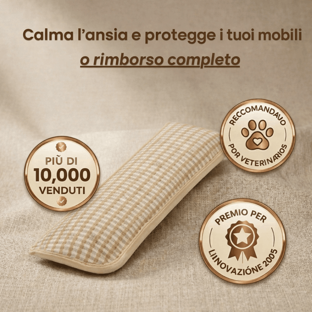 ZenCat |  Ritrova la felicità del tuo gatto