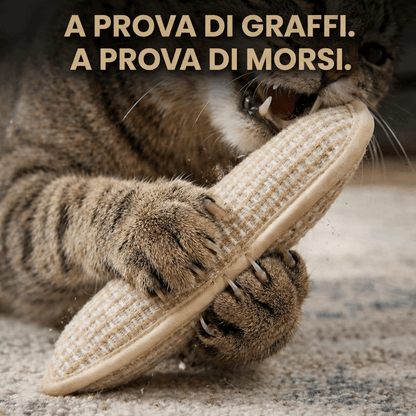 ZenCat |  Ritrova la felicità del tuo gatto
