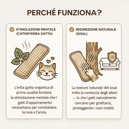 ZenCat |  Ritrova la felicità del tuo gatto