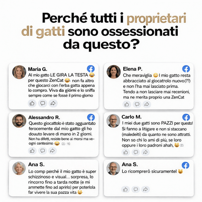 ZenCat |  Ritrova la felicità del tuo gatto