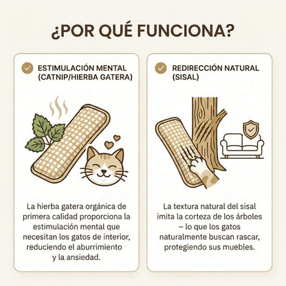 ZenCat | Recupera la felicidad de tu gato