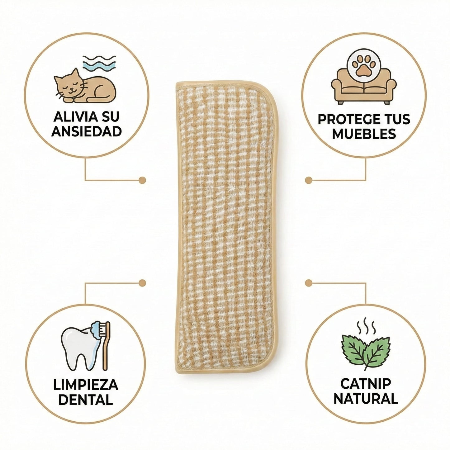 ZenCat | Recupera la felicidad de tu gato