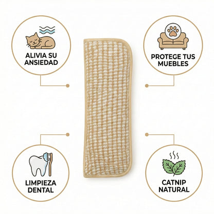 ZenCat | Recupera la felicidad de tu gato