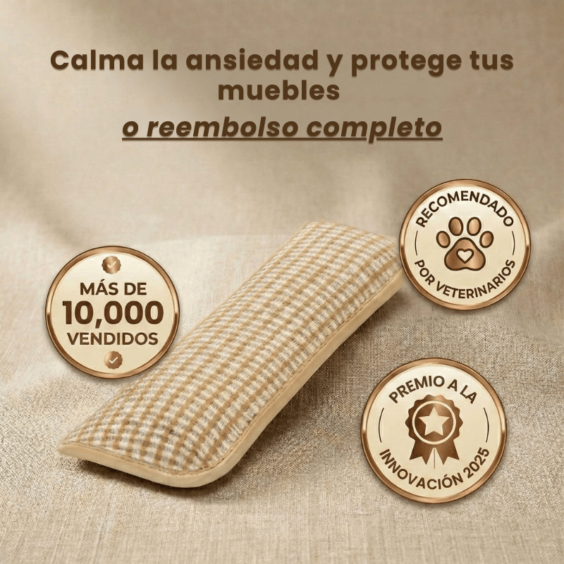 ZenCat | Recupera la felicidad de tu gato