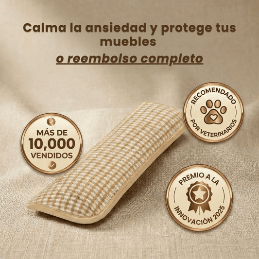 ZenCat | Recupera la felicidad de tu gato